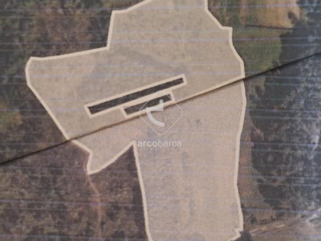Terreno Florestal com 26.000m2 S. Pedro d´Arcos