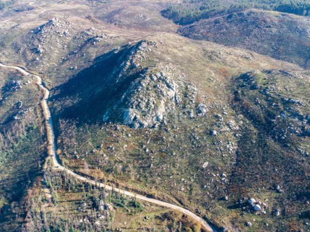 Terreno florestal com 4.2 hectares em Marco de Canaveses Porto