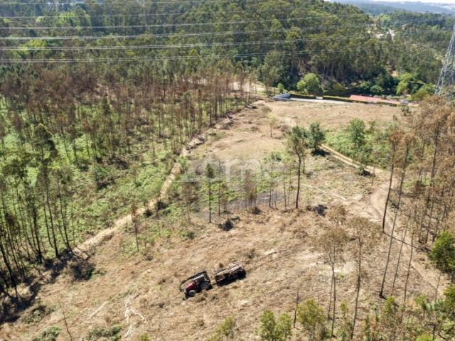 Terreno florestal com capacidade construtiva Santa Maria da Feira