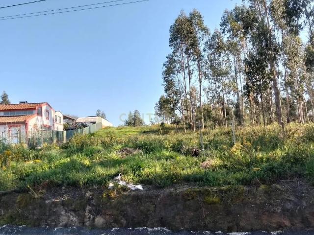 Terreno urbanizável em Requeixo, Aveiro