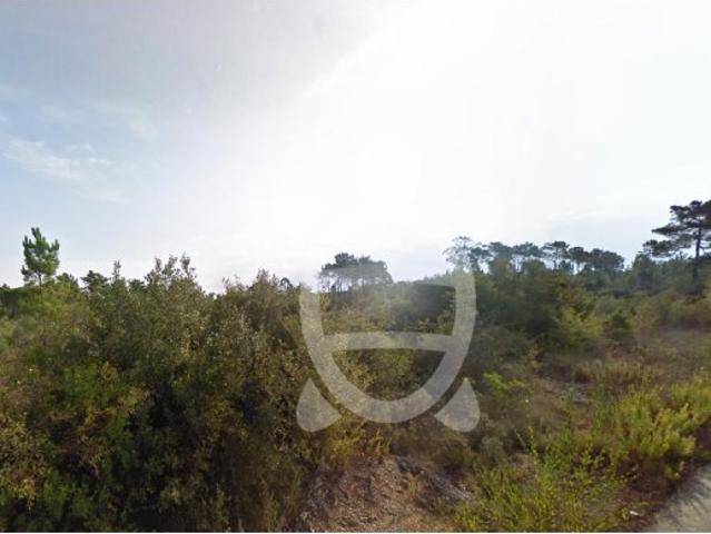 Terreno Florestal em Cernache