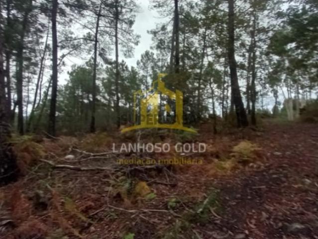 Terreno Florestal em Cunha, Paredes de Coura 3.150 m²