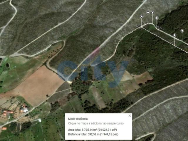 Terreno Florestal em Enxames