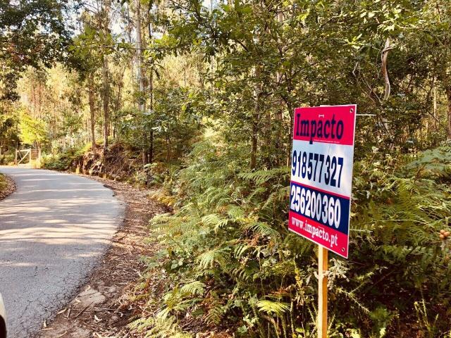 Terreno Florestal em Romariz, Santa Maria da Feira