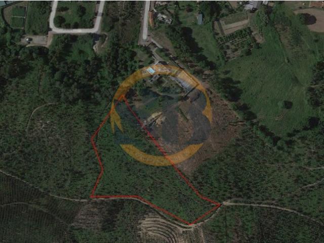 Terreno Florestal Oliveira de Azeméis