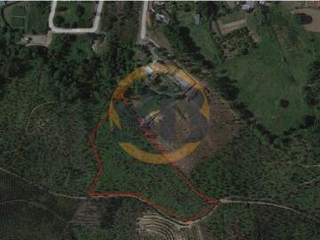 Terreno Florestal Oliveira de Azeméis