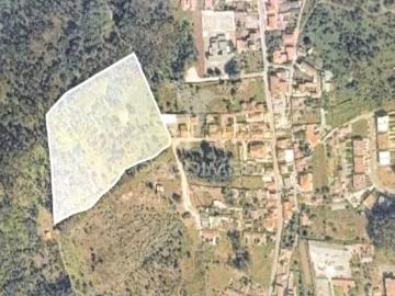Terreno florestal para venda, em Nogueira Maia