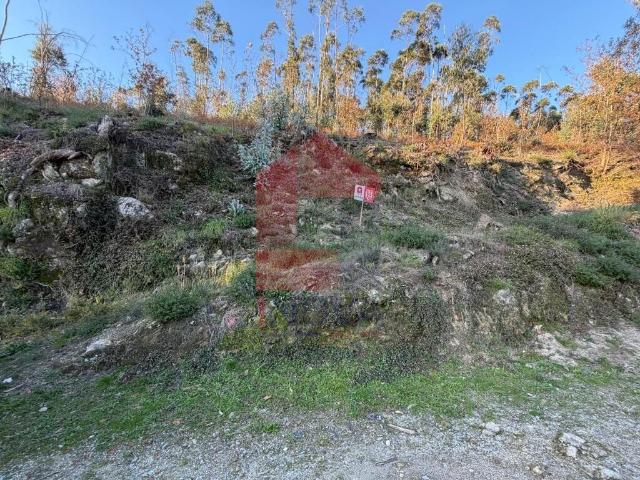 Terreno florestal, Prado São Miguel