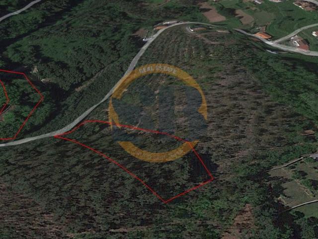 Terreno Florestal Residencial Oliveira de Azeméis