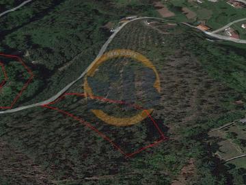 Terreno Florestal Residencial Oliveira de Azeméis