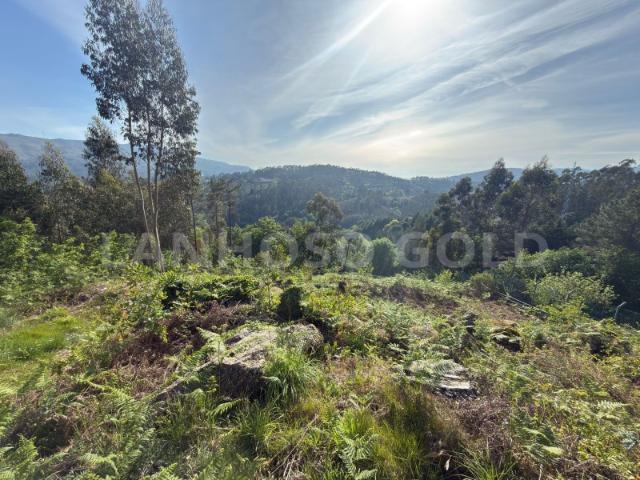 Terreno florestal/agrícola em Vieira do Minho