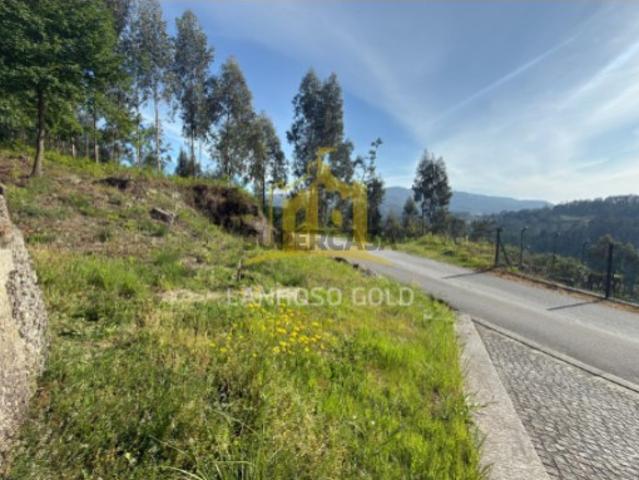 Terreno florestal/agrícola em Vieira do Minho