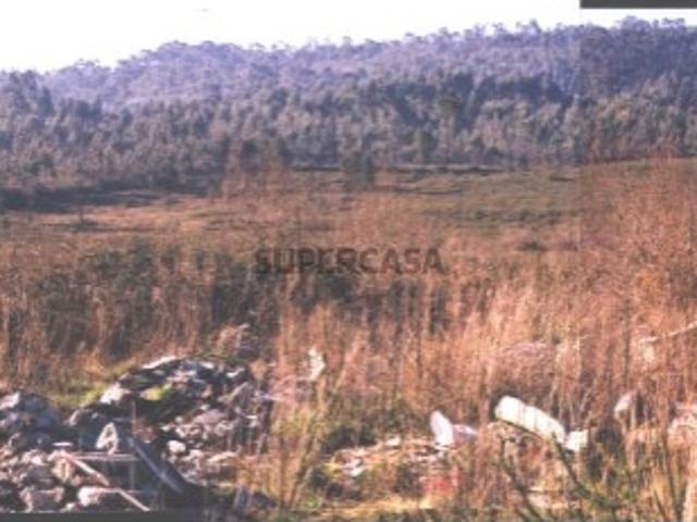TERRENO FOLGOSA, MAIA