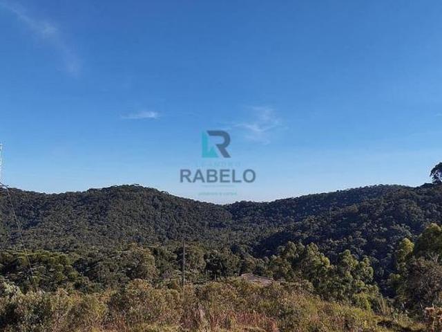 TERRENO FORMADO EM MATA Á VENDA EM DELFIM MOREIRA MG