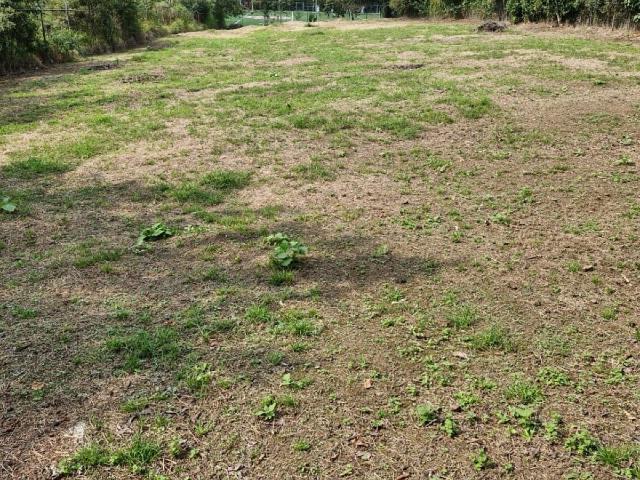 Terreno Fraccionamiento Briones