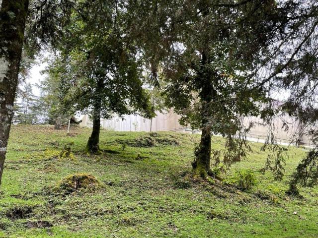 Terreno Fraccionamiento Briones