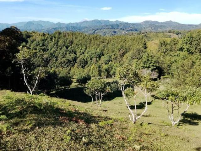 Terreno Fraccionamiento Briones