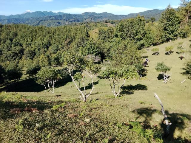Terreno Fraccionamiento Briones
