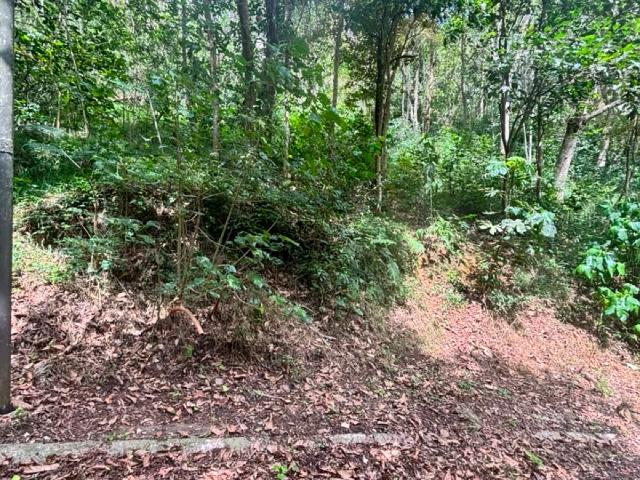 Terreno Fraccionamiento Briones