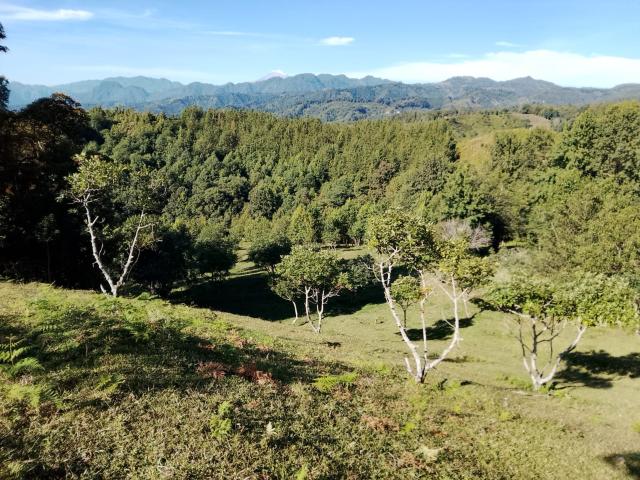 Terreno Fraccionamiento Briones