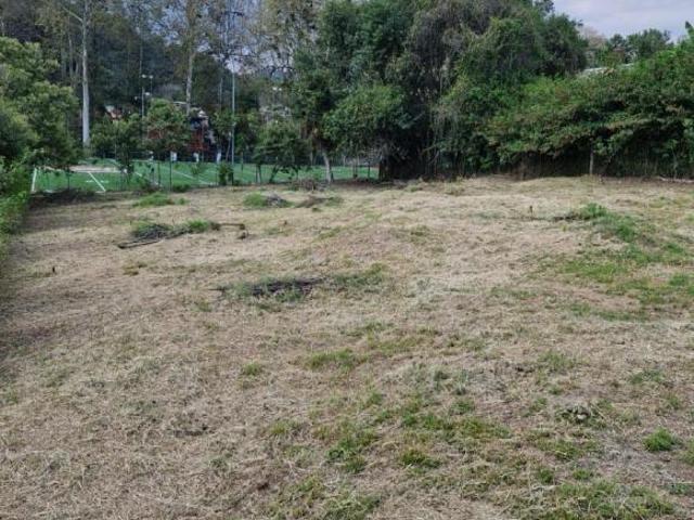 Terreno Fraccionamiento Briones