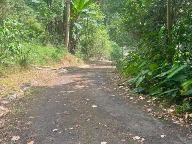Terreno Fraccionamiento Briones