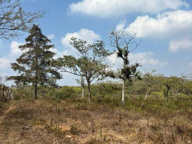 Terreno Fraccionamiento Las Trancas
