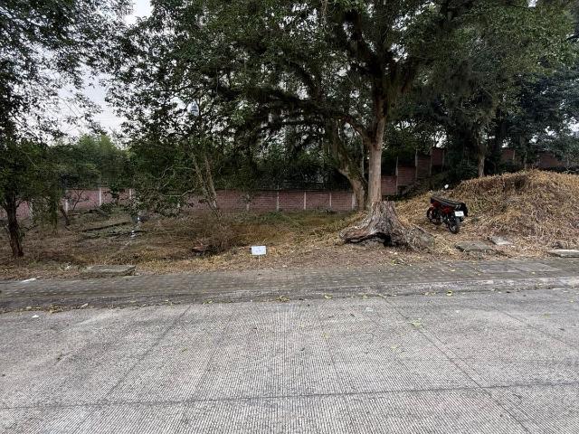 Terreno Fraccionamiento Paseo de la Reina