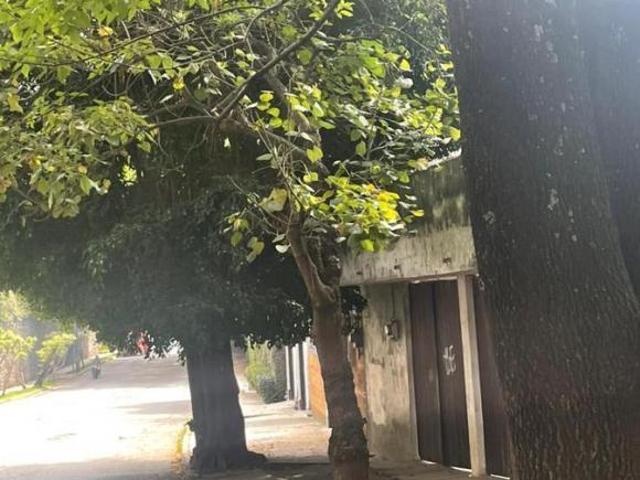 Terreno Fraccionamiento Rancho Cortes