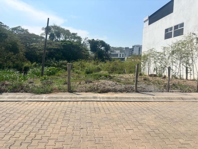 Terreno Fraccionamiento Residencial Monte Magno