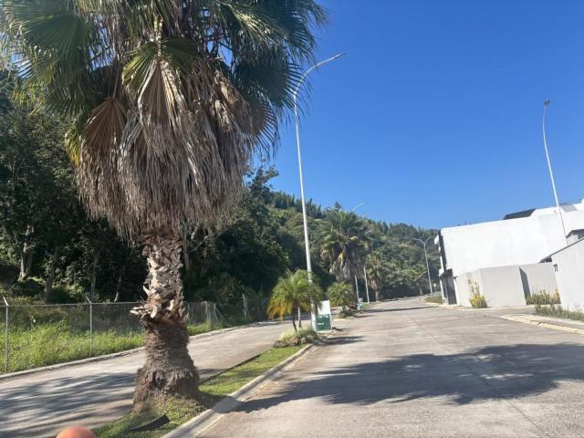 Terreno Fraccionamiento Residencial Monte Magno