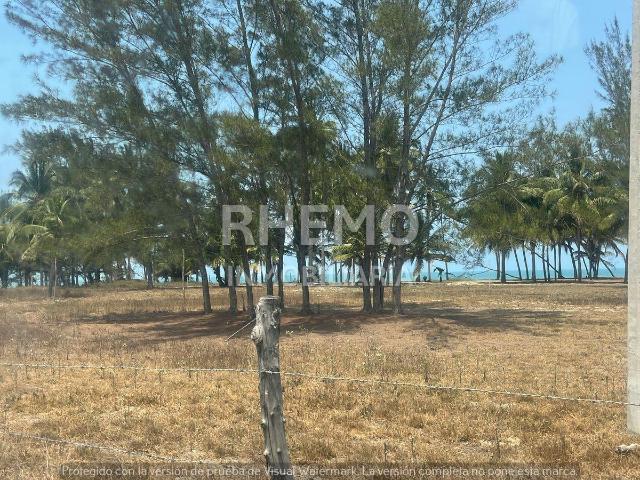 Terreno frente a Playa en Venta, de 10,890m2, Tuxpan, Ver
