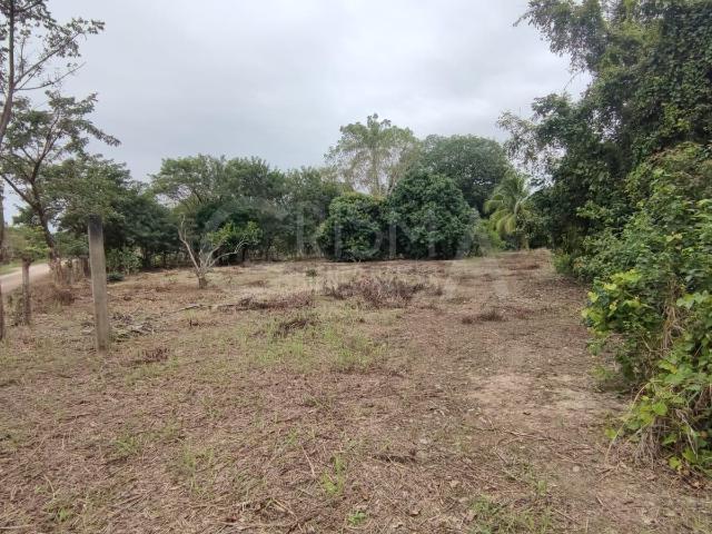 TERRENO FRENTE AL ESTERO EN JUANA MOZA