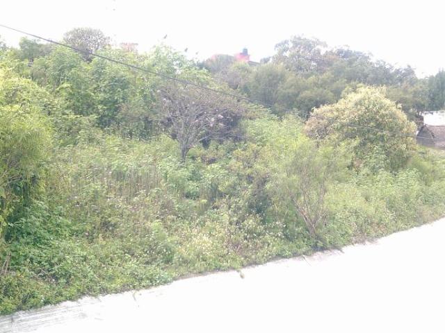 Terreno frente al lago, san José Tejaluca