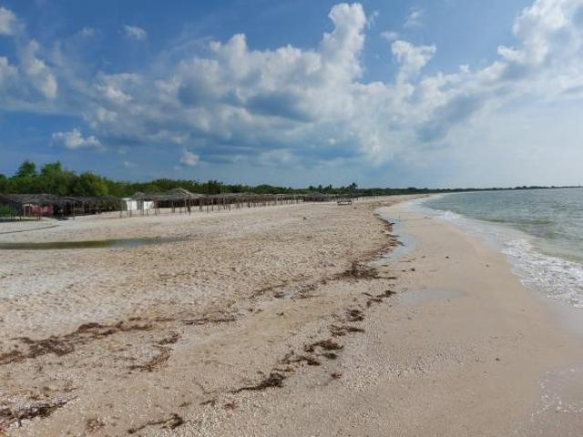 TERRENO FRENTE AL MAR EN CELESTUN, YUCATAN