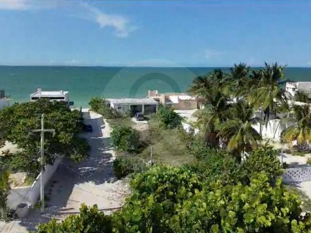 Terreno frente al mar en Chelem, Yucat?n