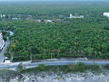 TERRENO FRENTE AL MAR IDEAL PARA HOTEL O CONDOMINIOS DE LUJO EN COZUMEL