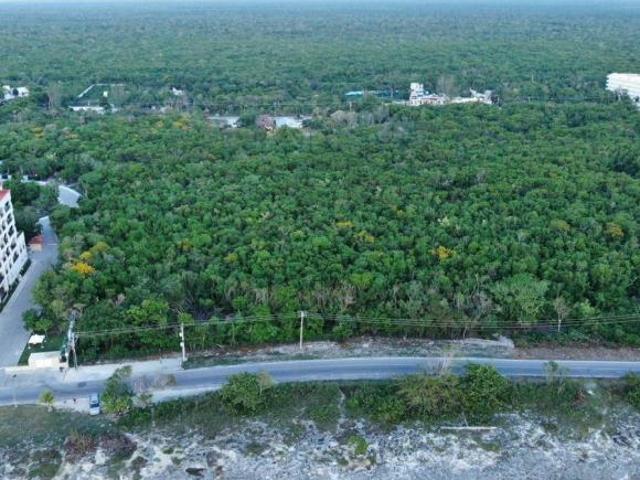 TERRENO FRENTE AL MAR IDEAL PARA HOTEL O CONDOMINIOS DE LUJO EN COZUMEL