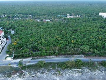 TERRENO FRENTE AL MAR IDEAL PARA HOTEL O CONDOMINIOS DE LUJO EN COZUMEL