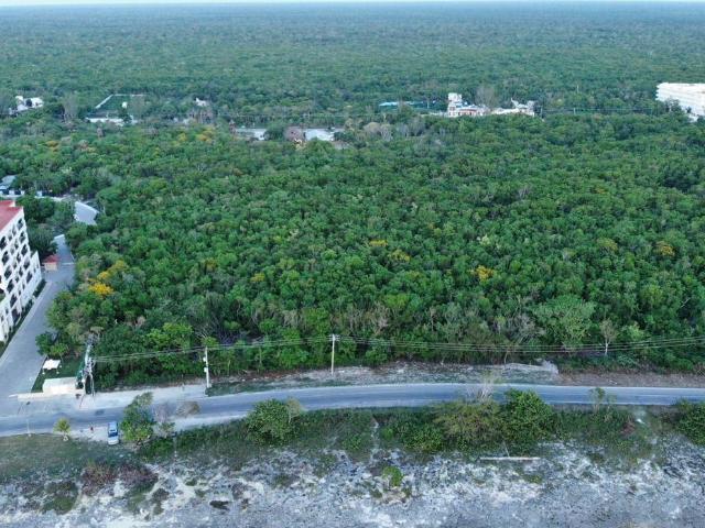 TERRENO FRENTE AL MAR IDEAL PARA HOTEL O CONDOMINIOS DE LUJO EN COZUMEL