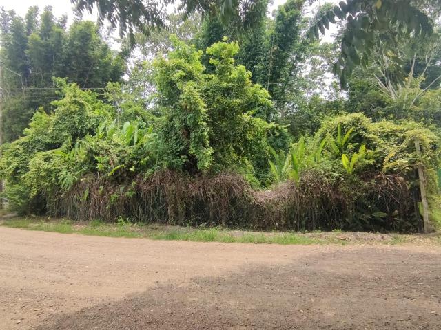 TERRENO FRENTE AL R?O EN JUANA MOZA