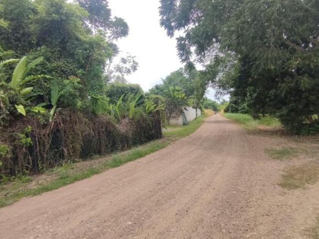 TERRENO FRENTE AL RÍO EN JUANA MOZA