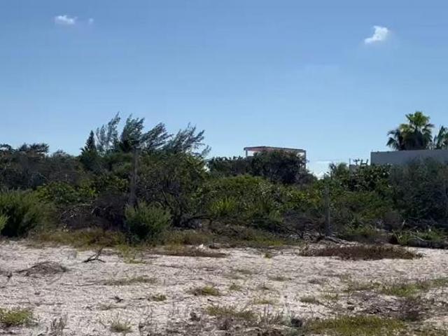 Terreno frente de playa en Celestún | 24.2 m de frente