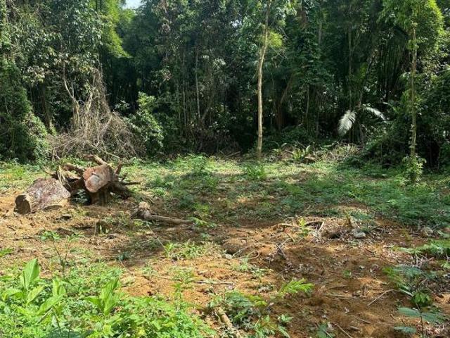 Terreno frente mar Félix em Ubatuba pronto para construção imediata