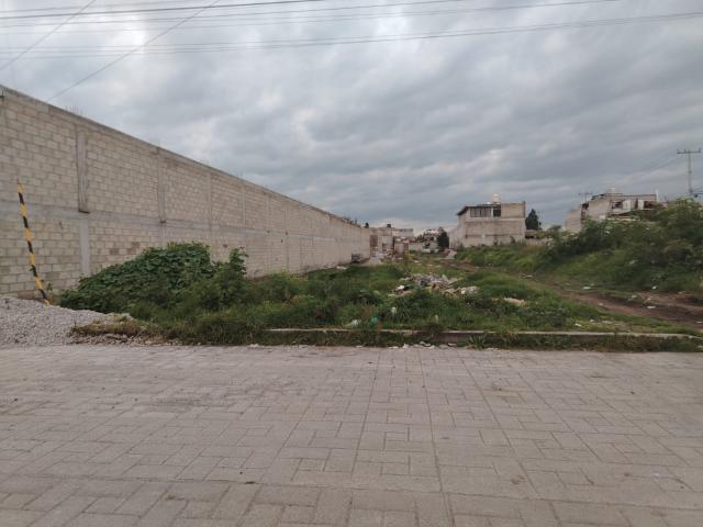 Terreno Guadalupe