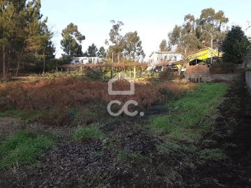 Terreno, Guilhufe e Urrô, Penafiel