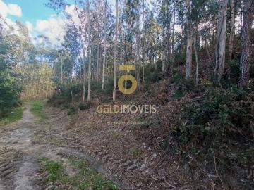 Terreno, Galegos, Penafiel | BPI Expresso Imobiliário