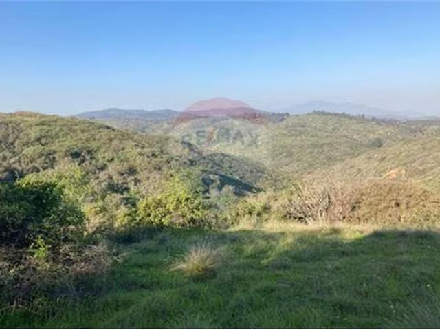 Terreno ganadero 22.6ha en lo abarca, san antonio | 1 dormitorios por 6149.00 en El Tabo