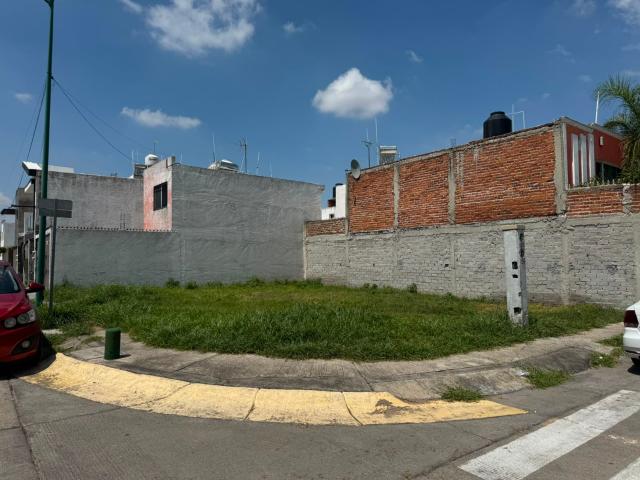 Terreno Girasoles
