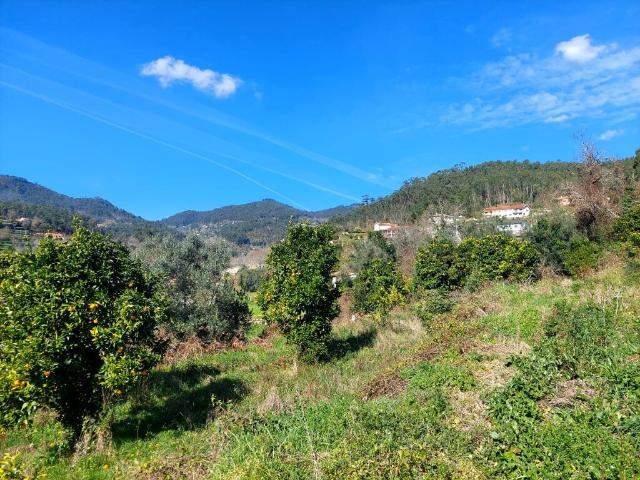 Terreno Goães